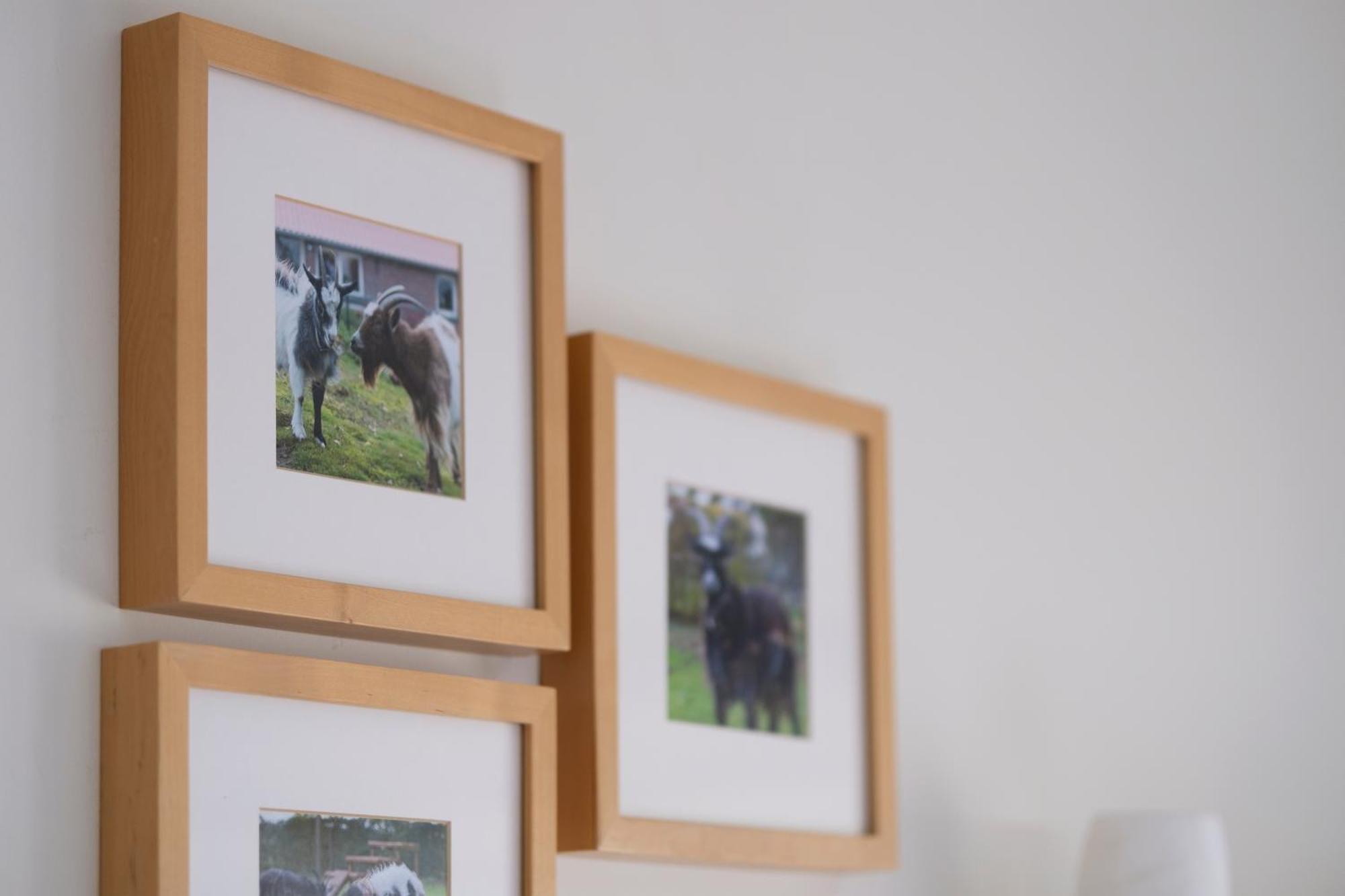 Bed and Breakfast Op D'N Stolberg Weert Exteriér fotografie